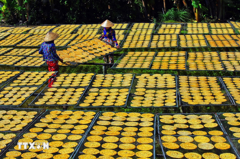 Bằng sự khéo léo và sáng tạo, phụ nữ Đồng bằng sông Cửu Long đã biến những sản vật sẵn có tại địa phương thành các sản phẩm có giá trị gia tăng cao. (Ảnh: Huỳnh Anh/TTXVN)