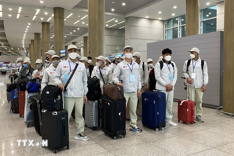 Lao động Việt Nam nhập cảnh tại sân bay Incheon (Hàn Quốc). (Ảnh: Anh Nguyên/TTXVN)