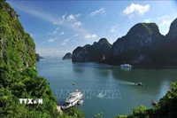 Di sản thiên nhiên thế giới Vịnh Hạ Long mang những giá trị đặc biệt, thắng cảnh thiên nhiên có một không hai trên thế giới. (Ảnh: Minh Đức/TTXVN)