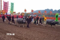 Các đại biểu thực hiện những sá cày tại lễ hội. (Ảnh: Thanh Tuấn/TTXVN)