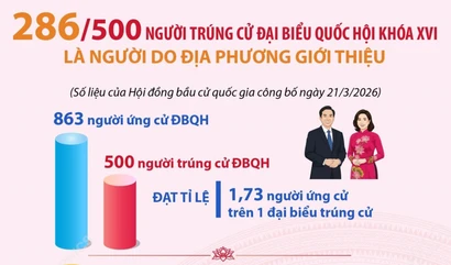 286/500 người trúng cử Đại biểu Quốc hội là người do địa phương giới thiệu