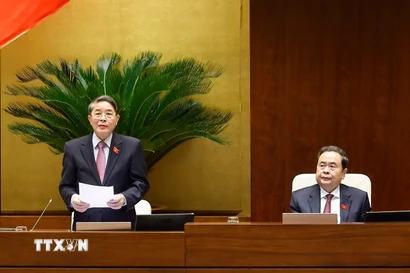 Phó Chủ tịch Quốc hội Nguyễn Đức Hải phát biểu. (Ảnh: Doãn Tấn/TTXVN)