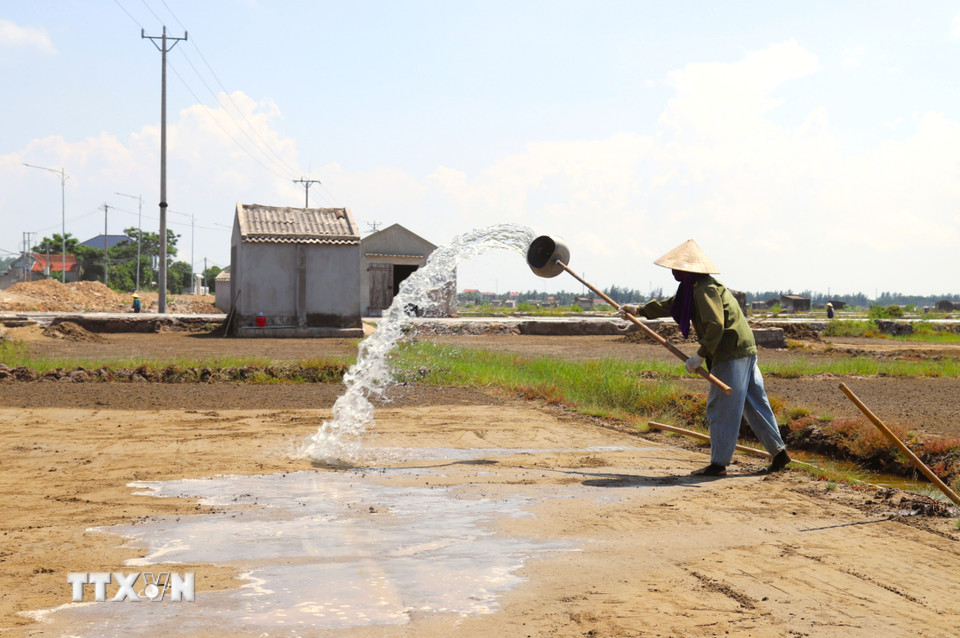 Múc nước biển tưới lên sân phơi cát để nền đất cứng hơn và thêm độ mặn trước khi rải cát ra phơi. (Ảnh: Xuân Tiến/TTXVN)