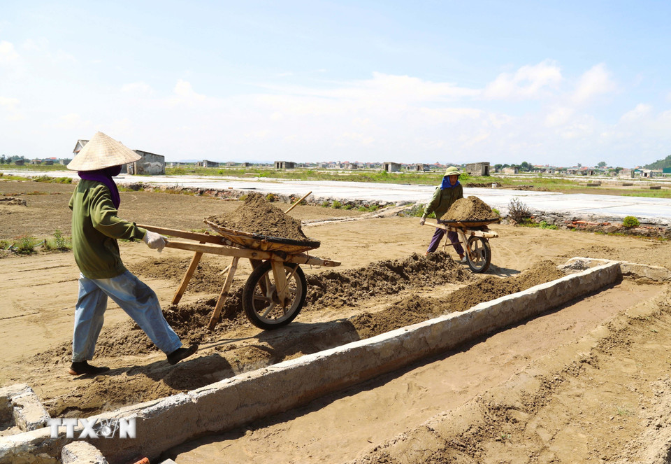 Mỗi xe cút kít có tải trọng từ 60-80kg cát biển mỗi chuyến. Để lấp đầy một chạt lọc cần khoảng từ 1-1,2m3 cát biển đã phơi nắng. (Ảnh: Xuân Tiến/TTXVN)