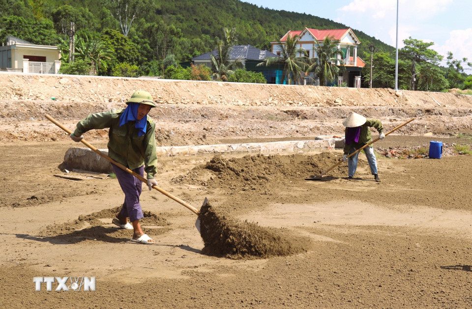 Rải cát ra sân phơi để phơi nắng. Công việc này đòi hỏi sự chuyên cần, quen tay để lượng đất được rải đều trên sân phơi và không vón cục. (Ảnh: Xuân Tiến/TTXVN)