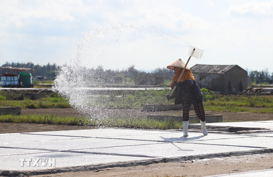Trong những ngày nắng gắt, nền nhiệt độ cao và số giờ nắng nhiều, nước muối bay hơi nhanh, diêm dân phải tiếp thêm nước muối tinh chất đã lọc lên đồng phơi để muối không cháy và khi thu hoạch (cạo) muối sẽ dễ hơn. (Ảnh: Xuân Tiến/TTXVN)