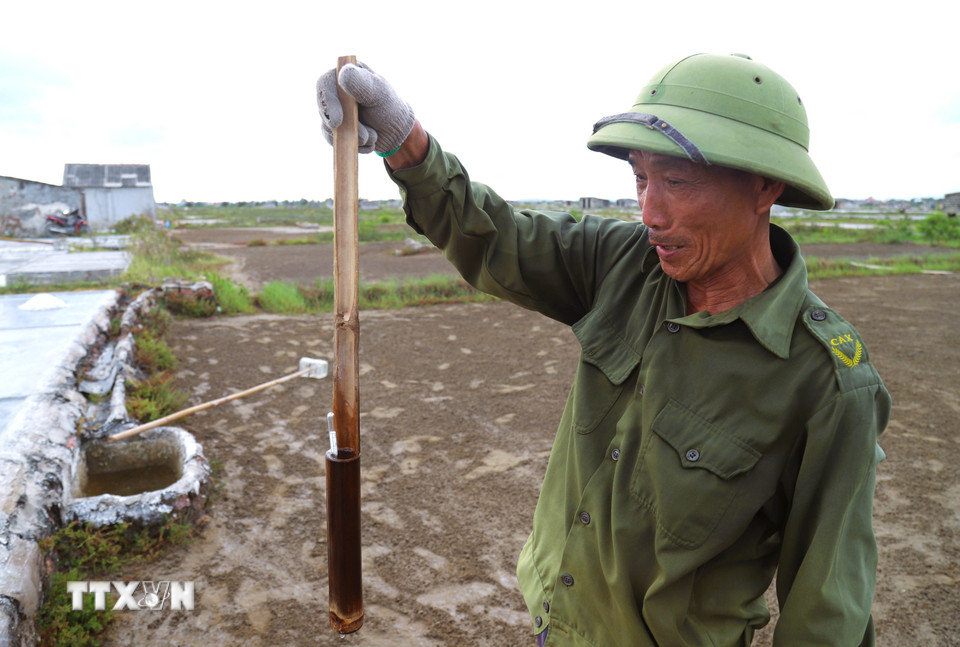 Đo độ mặn của nước tinh chất sau quá trình lọc lấy nước mặn để có lượng nước có độ mặn phù hợp trước khi phơi lấy muối thành phẩm. (Ảnh: Xuân Tiến/TTXVN)