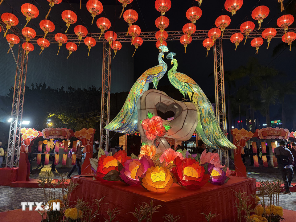 Đèn lồng hình những con công đầy màu sắc. (Ảnh: Mạc Luyện/TTXVN)