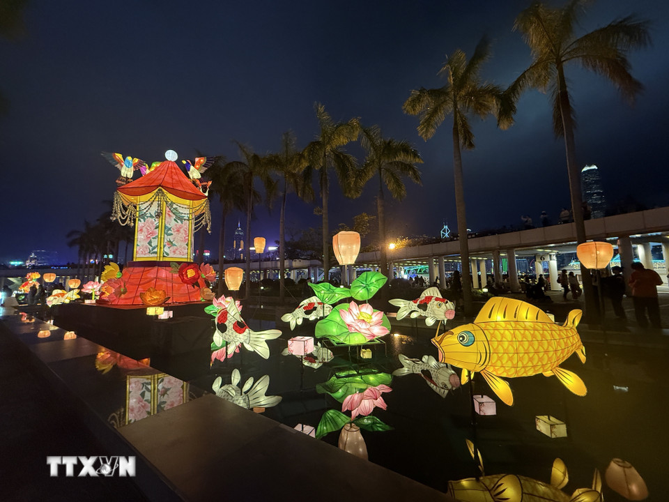 Rực rỡ sắc màu đèn lồng Tết Nguyên tiêu. (Ảnh: Mạc Luyện/TTXVN)