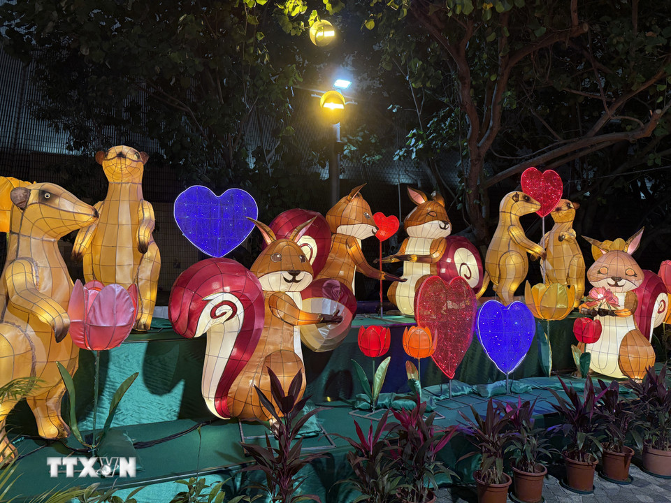 Những chú sóc dễ thương khoe sắc cùng lễ hội đèn lồng. (Ảnh: Mạc Luyện/TTXVN)