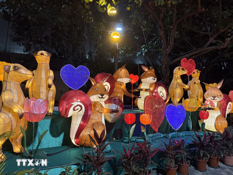 Những chú sóc dễ thương khoe sắc cùng lễ hội đèn lồng. (Ảnh: Mạc Luyện/TTXVN)