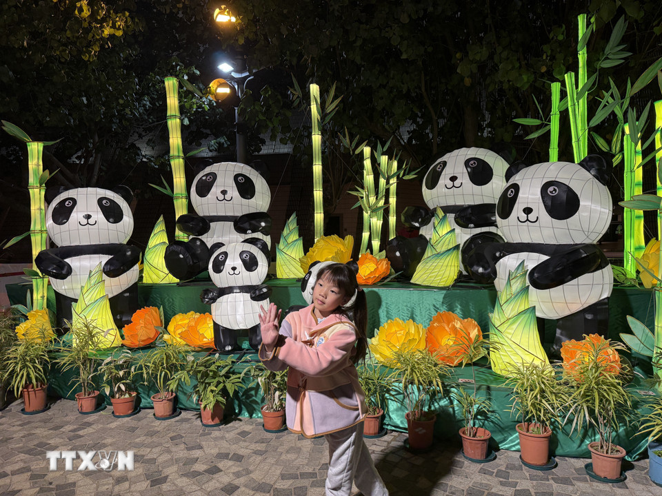 Em nhỏ tạo dáng chụp cùng đèn lồng hình gấu trúc. (Ảnh: Mạc Luyện/TTXVN)