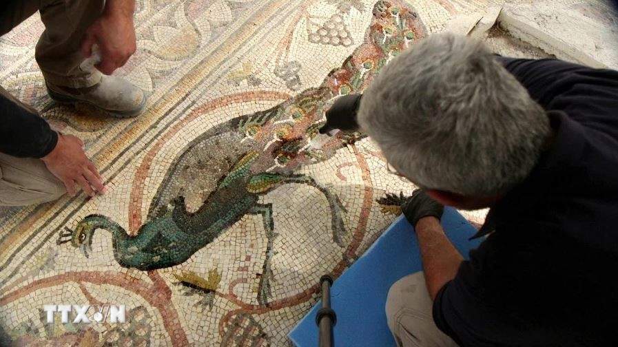 Cơ quan Cổ vật Israel vừa thông báo một bức tranh khảm tuyệt đẹp có niên đại khoảng 1.600 năm tuổi, lần đầu tiên được giới thiệu trước công chúng tại miền Tây sa mạc Negev. (Ảnh: Jerusalem Post/TTXVN)