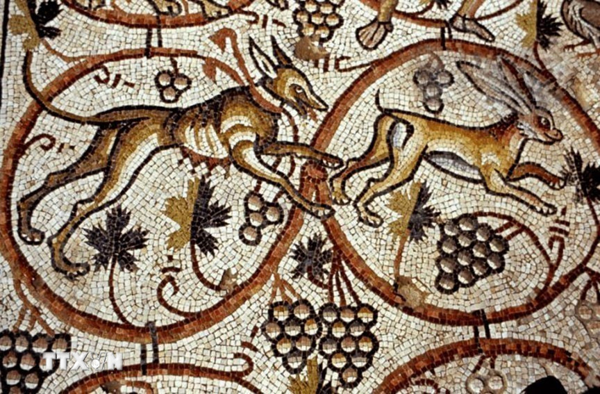 Bức khảm cổ được phát hiện từ hơn 30 năm trước gần Kibbutz Urim, sát Dải Gaza. (Ảnh: Jerusalem Post/TTXVN)