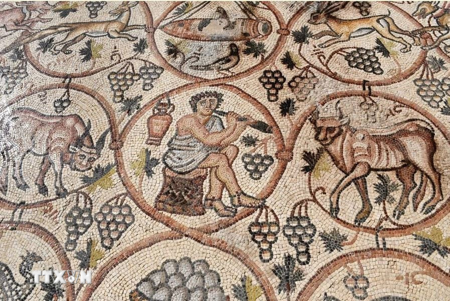 Bức tranh gồm 55 hình tròn tinh xảo, thể hiện nhiều chủ đề đa dạng như cảnh săn bắn, động vật, các nhân vật thần thoại và đời sống sinh hoạt thời kỳ Byzantine (năm 324-638 sau Công nguyên). (Ảnh: Jerusalem Post/TTXVN)