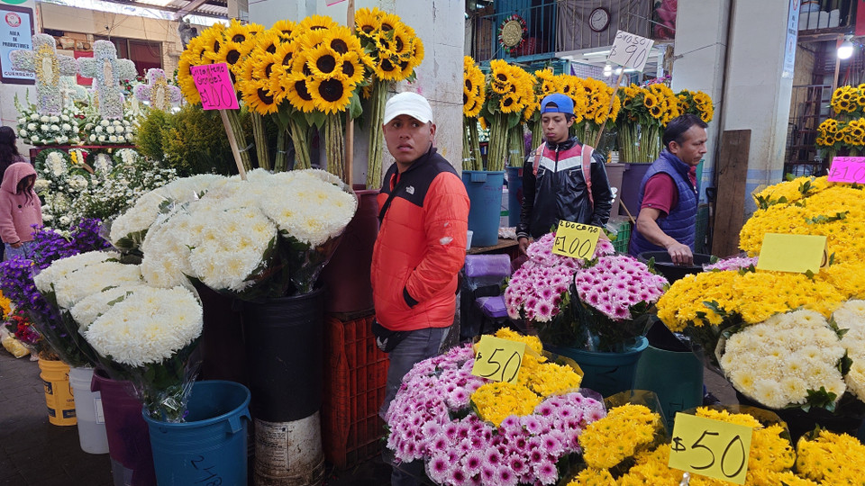 Đến giữa thế kỷ 20, kênh La Viga cũng bị lấp đi, dẫn đến sự thay đổi lớn trong quy hoạch đô thị. Chợ Jamaica hiện đại được mở cửa vào năm 1957, trong một dự án đô thị hóa bao gồm cả chợ Sonora và La Merced. (Ảnh: Phi Hùng/TTXVN)