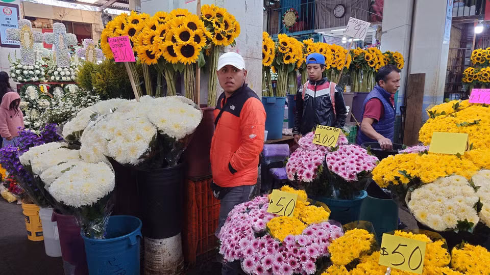 Đến giữa thế kỷ 20, kênh La Viga cũng bị lấp đi, dẫn đến sự thay đổi lớn trong quy hoạch đô thị. Chợ Jamaica hiện đại được mở cửa vào năm 1957, trong một dự án đô thị hóa bao gồm cả chợ Sonora và La Merced. (Ảnh: Phi Hùng/TTXVN)