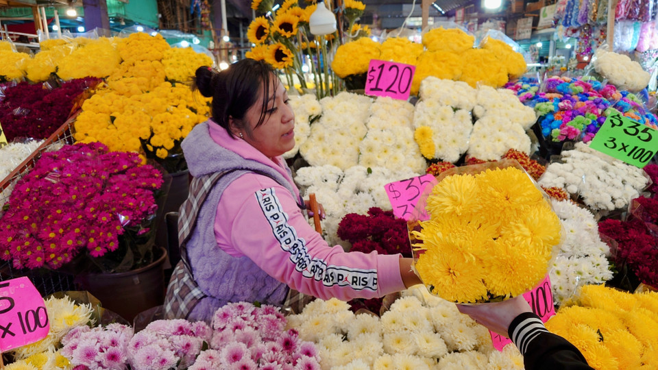 Quang cảnh chợ hoa Jamaica. (Ảnh: Phi Hùng/TTXVN)