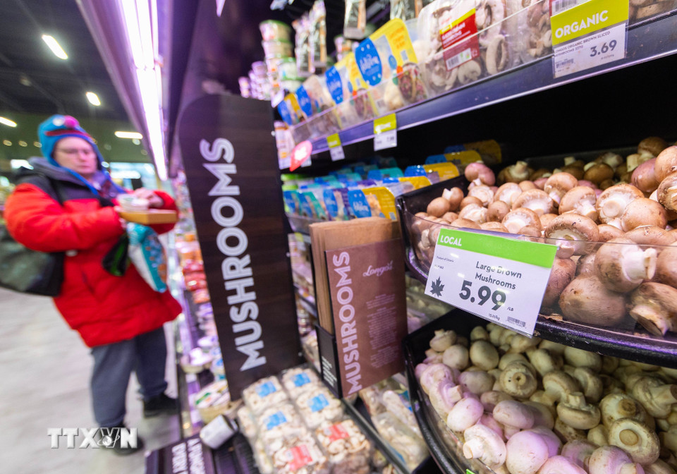 Cùng ngày 4/3/2025, Thủ tướng Canada Justin Trudeau thông báo nước này sẽ áp thuế 25% lên số hàng hóa Mỹ trị giá 30 tỷ CAD với hiệu lực tức thì. Tương tự, Tổng thống Mexico Claudia Sheinbaum cũng tuyên bố sẽ áp dụng các biện pháp thuế quan và phi thuế quan nhằm đáp trả quyết định của Mỹ. Ảnh: Hàng hóa bày bán tại siêu thị ở Toronto (Canada). (Ảnh: THX/TTXVN)