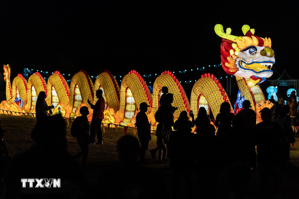 Đèn lồng được thắp sáng rực rỡ dịp tết Nguyên tiêu tại Auckland (New Zealand), ngày 13/2/2025. (Ảnh: THX/TTXVN)
