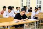 (Ảnh minh họa: TTXVN).