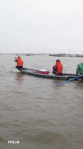 Người dân phường Kim Trà, thành phố Huế phải dùng thuyền để đi lại, do lũ sông Bồ dâng cao gây ngập lụt ngày 17/11. (Ảnh: Nguyên Lý/TTXVN)