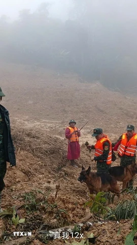 Triển khai lực lượng tìm kiếm nạn nhân mất tích trong vụ sạt lở ở xã biên giới Hùng Sơn với sự hỗ trợ của chó nghiệp vụ. (Ảnh: Bộ Tư lệnh Quân khu 5/TTXVN phát)