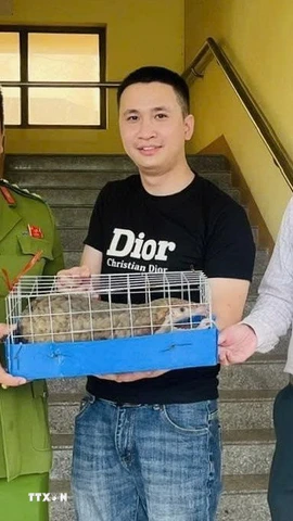 Tiếp nhận cá thể Tê tê nguy cấp, quý, hiếm từ người dân. (Ảnh: TTXVN phát)