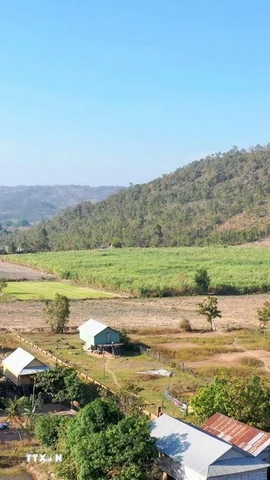 (Ảnh minh họa: TTXVN phát)