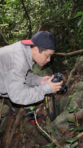 Giáo sư, Tiến sỹ Nguyễn Quảng Trường trong chuyến nghiên cứu về đặc điểm sinh thái của loài Thạch sùng mí cát bà tại Vườn Quốc Gia Cát Bà 2014.