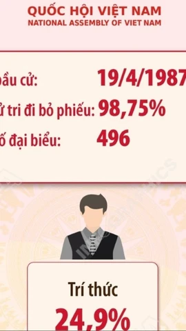 Kết quả bầu cử đại biểu Quốc hội khóa VIII