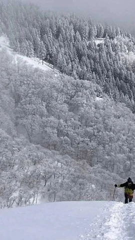 Một du khách leo núi Ryozen, Nhật Bản ngày 31/1. (Ảnh: Yamap)