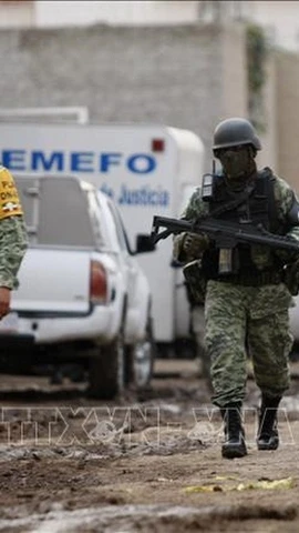 Lực lượng Vệ binh quốc gia Mexico điều tra tại hiện trường một vụ xả súng ở thành phố Irapuato, bang Guanajuato. (Ảnh tư liệu: AFP/TTXVN)