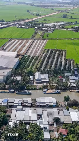 Các nhà máy xay xát lúa gạo ven kênh Thốt Nốt (ấp Thạnh Hưng, xã Cờ Đỏ) phát tán bụi ra môi trường gây ảnh hưởng đến khu dân cư đối diện. (Ảnh: Thanh Liêm/TTXVN)