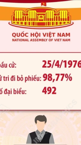 Kết quả bầu cử đại biểu Quốc hội khóa VI