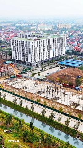 Ảnh minh họa. (Nguồn: TTXVN)