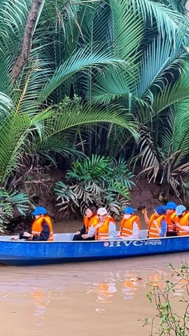 Các sinh viên tham quan, tìm hiểu hệ sinh thái rừng tại Cù Lao Dung. (Ảnh: Cục Du lịch Quốc gia Việt Nam)