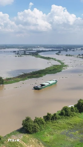 Nước sông Vàm Cỏ Đông (đoạn chảy qua địa phận xã Thạnh Đức, tỉnh Tây Ninh) dâng cao, gây ngập nhiều diện tích đất nông nghiệp của người dân. (Ảnh: Thanh Tân/TTXVN)