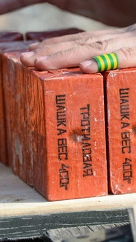 (Ảnh minh họa: Nguồn: Sputnik)