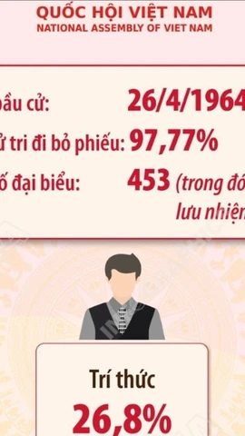 Kết quả bầu cử đại biểu Quốc hội khóa III