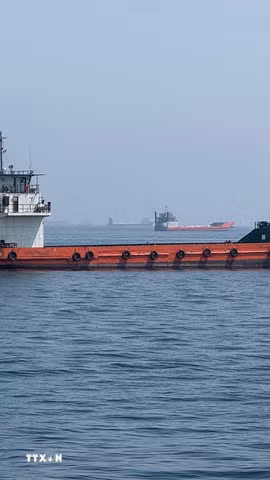 Tàu thương mại chờ đi qua eo biển Hormuz. (Ảnh: THX/TTXVN phát)