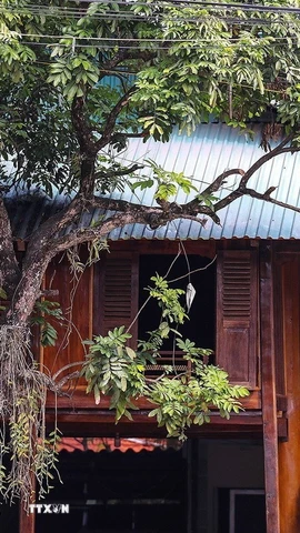 Những ngôi nhà sàn ở bản Pom Coọng thường được làm bằng tre hoặc bương và cách mặt đất khoảng 2m bằng những cột gỗ chắc chắn, xây thành từng cụm và theo lối kiểu kiến trúc truyền thống. (Ảnh: Trọng Đạt/TTXVN)