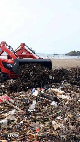 Công ty Cổ phần Dịch vụ môi trường và Công trình đô thị Vũng Tàu (Vesco) thu gom rác thải đại dương. (Ảnh: Đoàn Mạnh Dương/TTXVN)