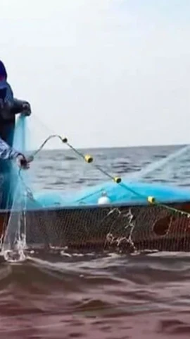 Ảnh minh họa: (Nguồn Smni News Channel)