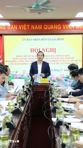 Toàn cảnh hội nghị. (Ảnh: Đỗ Huyền/TTXVN)