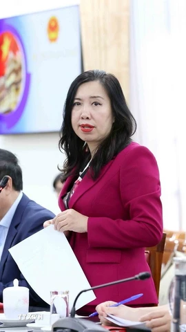 Thứ trưởng Bộ Ngoại giao Lê Thị Thu Hằng, Trưởng Tiểu ban Tuyên truyền và Văn hóa APEC 2027 chủ trì cuộc họp lần 1 của Tiểu ban. (Ảnh: An Đăng/TTXVN)