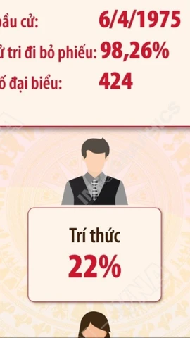 Kết quả bầu cử đại biểu Quốc hội khóa V