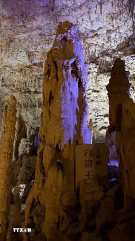 Những măng đá, nhũ đá mọc lên san sát như rừng cột đá khổng lồ. (Ảnh: Xuân Giao/TTXVN)