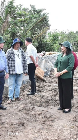 Bà Hồ Thị Hoàng Yến, Phó Bí thư Thường trực Tỉnh ủy Vĩnh Long khảo sát khu vực sạt lở bờ biển thuộc ấp Giồng Bàn, xã Long Vĩnh. (Ảnh: Thanh Hòa/TTXVN)