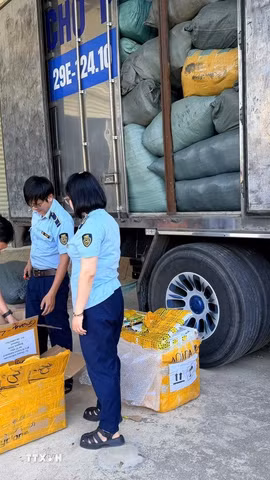 Lực lượng chức năng kiểm đếm hàng hoà nghi giả mạo nhãn hiệu thời trang nổi tiếng. (Ảnh: TTXVN phát)